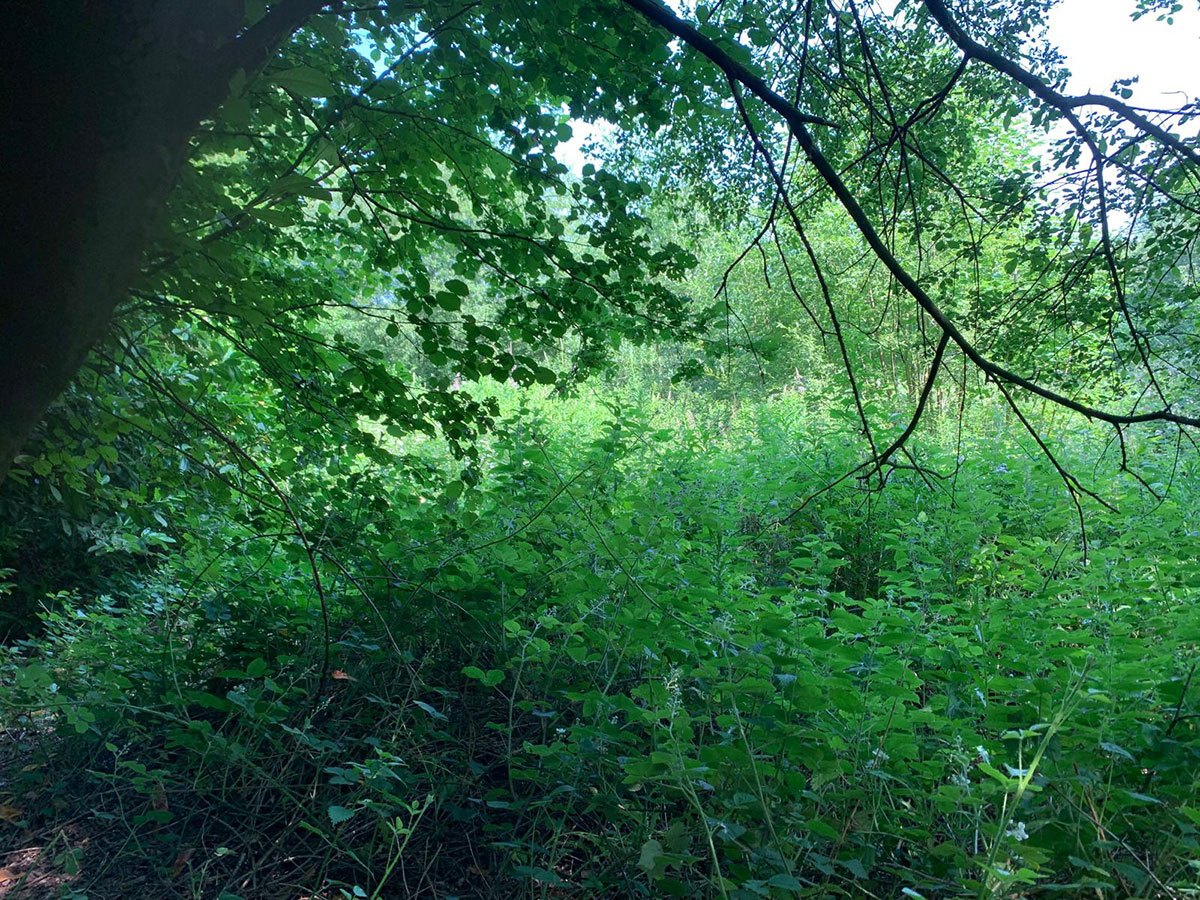 New-Build-Property - Phil Lester Construction