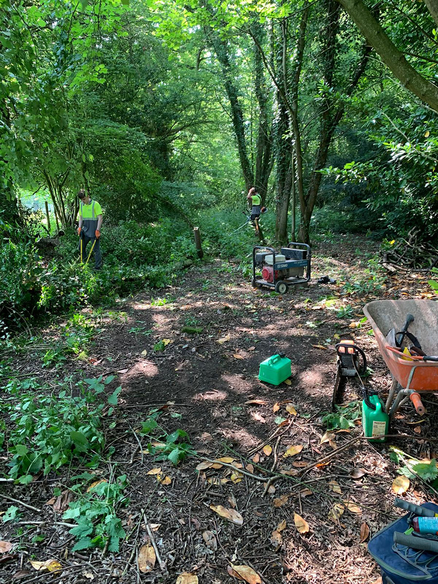 New-Build-Property - Phil Lester Construction